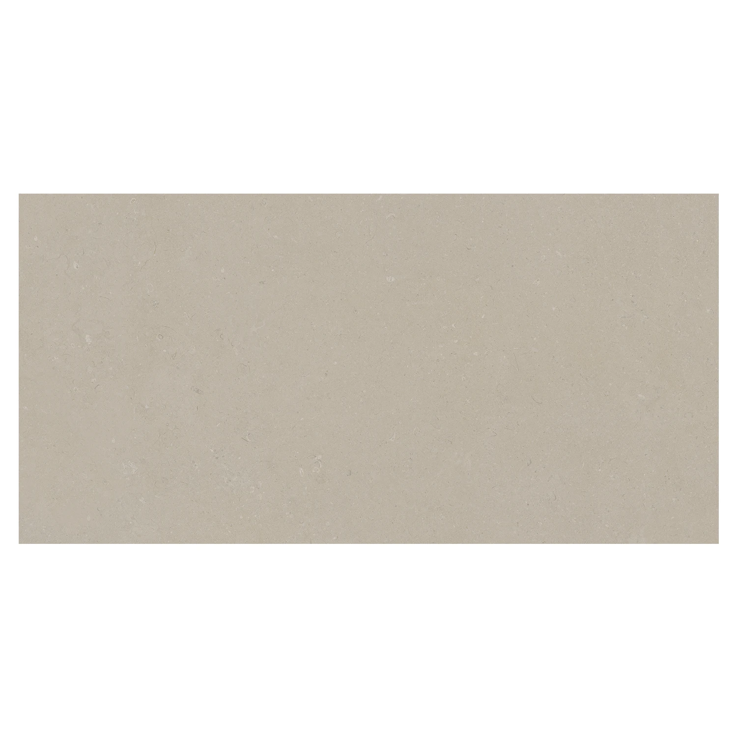 Steinoptik Bodenfliese Rift Bone 60 x 120 cm