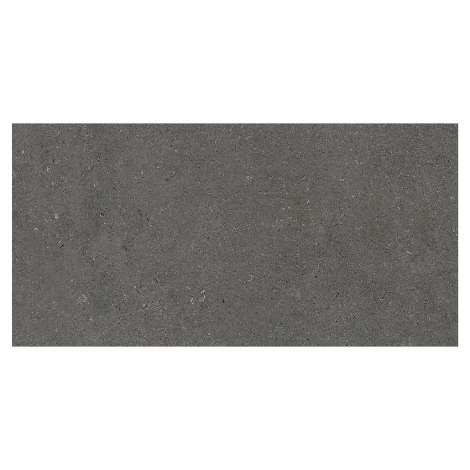 Steinoptik Bodenfliese Rift Anthracite Antislip 60 x 120 cm