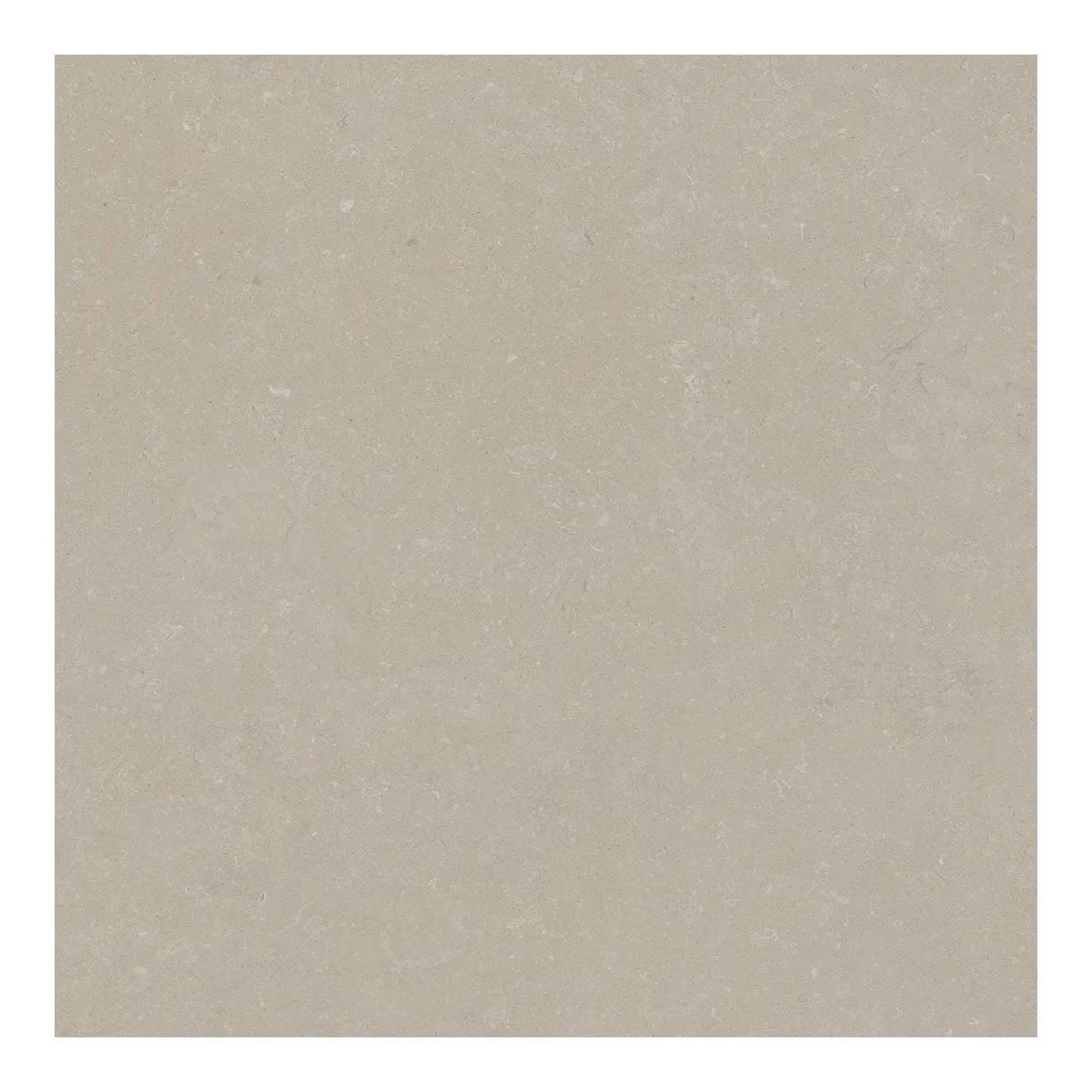 Steinoptik Bodenfliese Rift Bone 60 x 60 cm