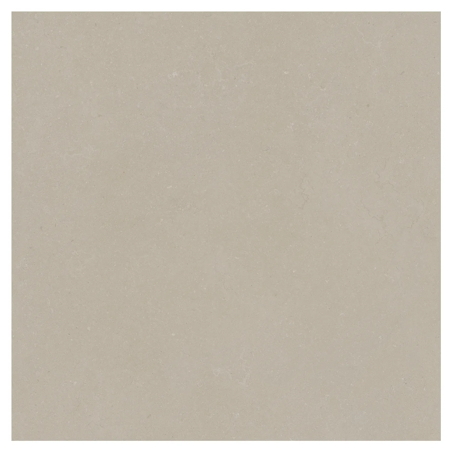 Steinoptik Bodenfliese Rift Bone 120 x 120 cm