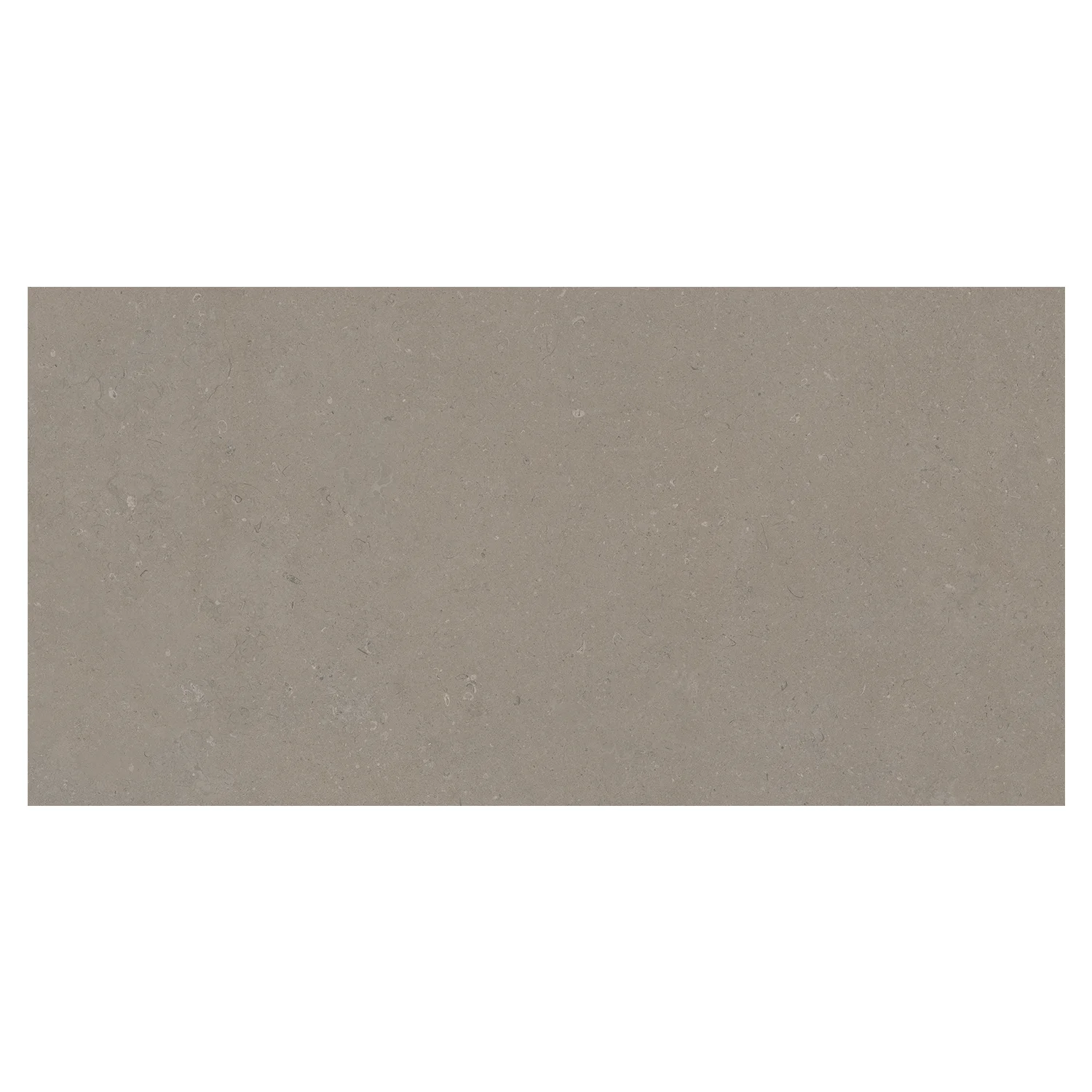 Steinoptik Bodenfliese Rift Greige 60 x 120 cm