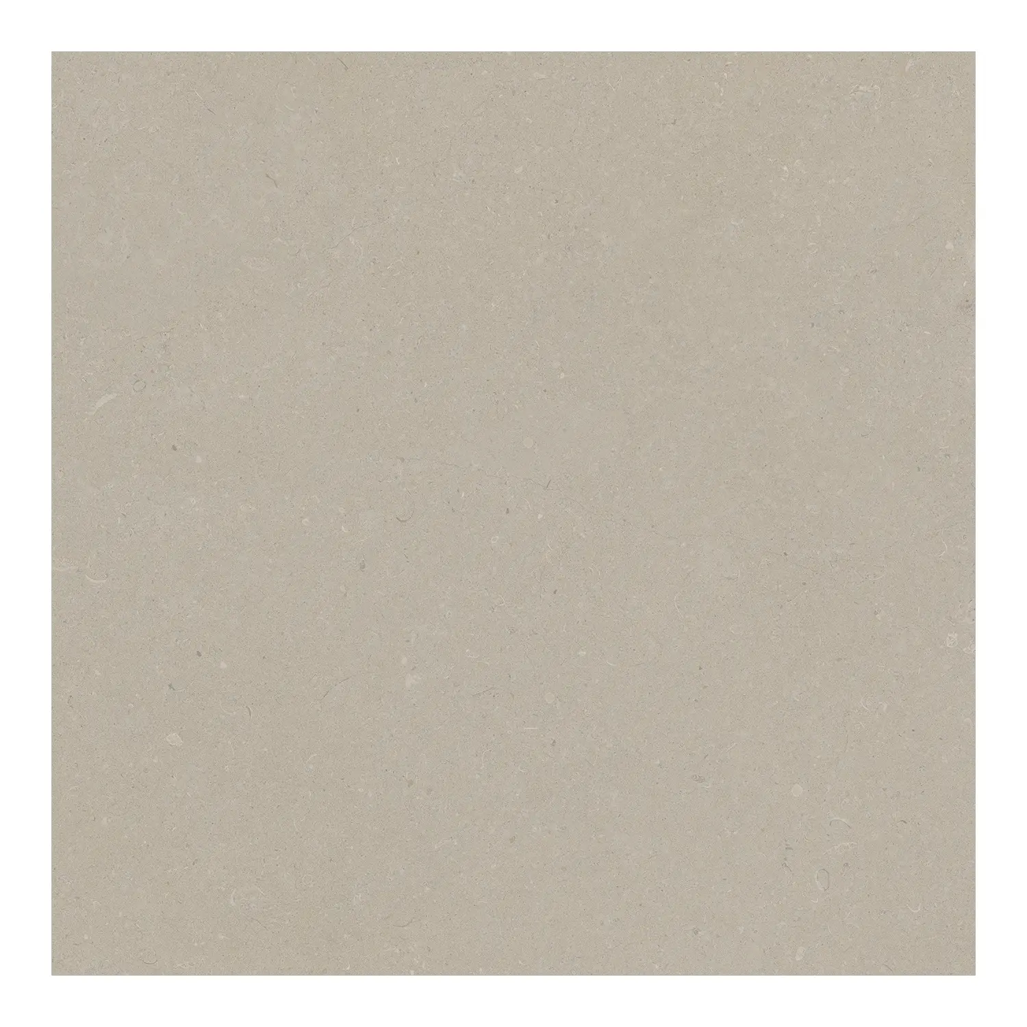 Steinoptik Bodenfliese Rift Bone 60 x 60 cm