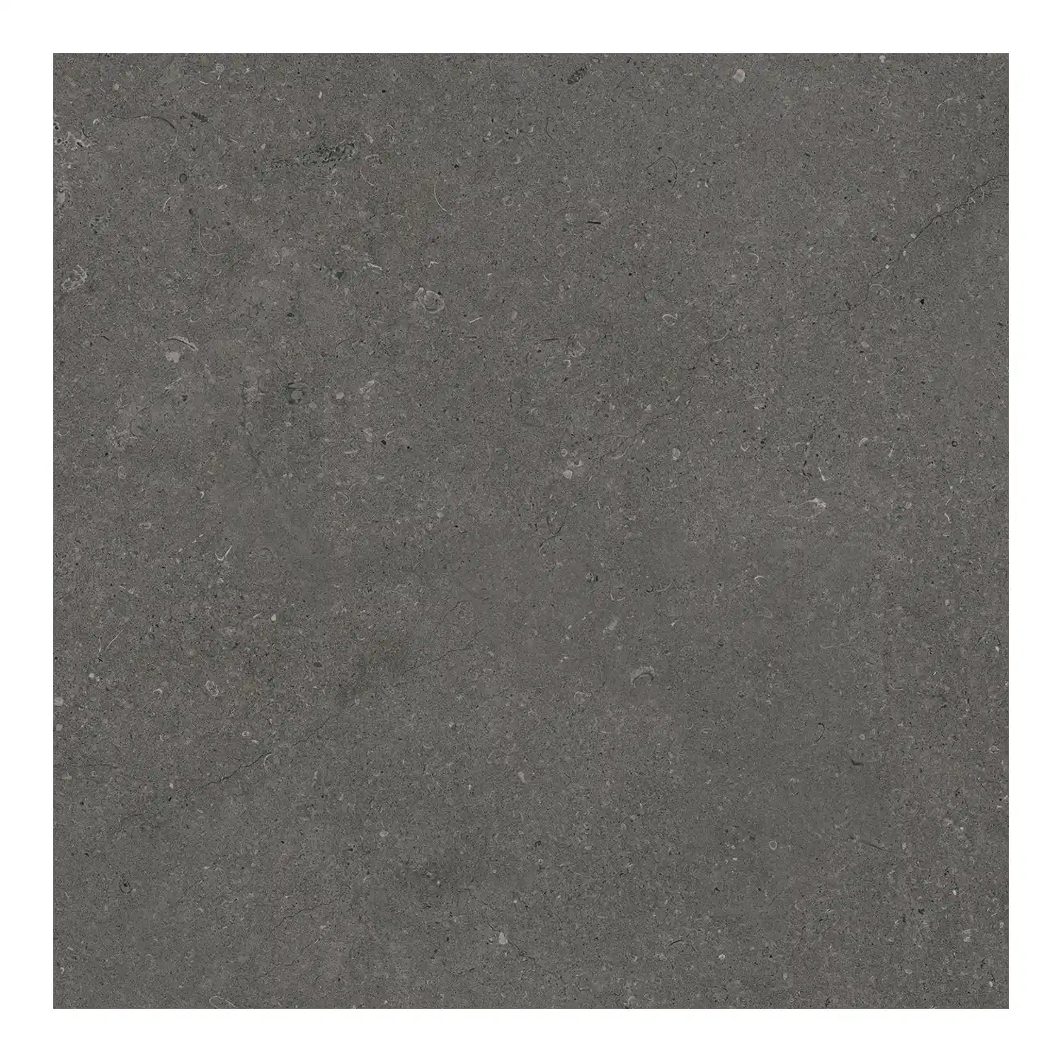 Steinoptik Bodenfliese Rift Anthracite 60 x 60 cm