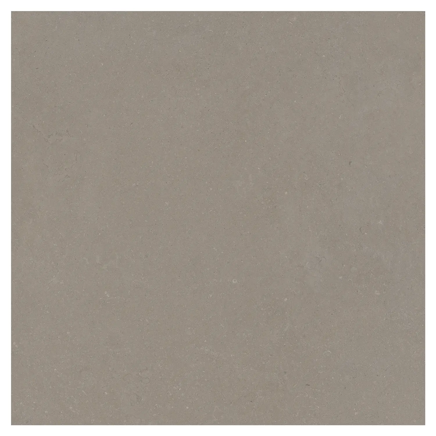 Steinoptik Bodenfliese Rift Greige 120 x 120 cm
