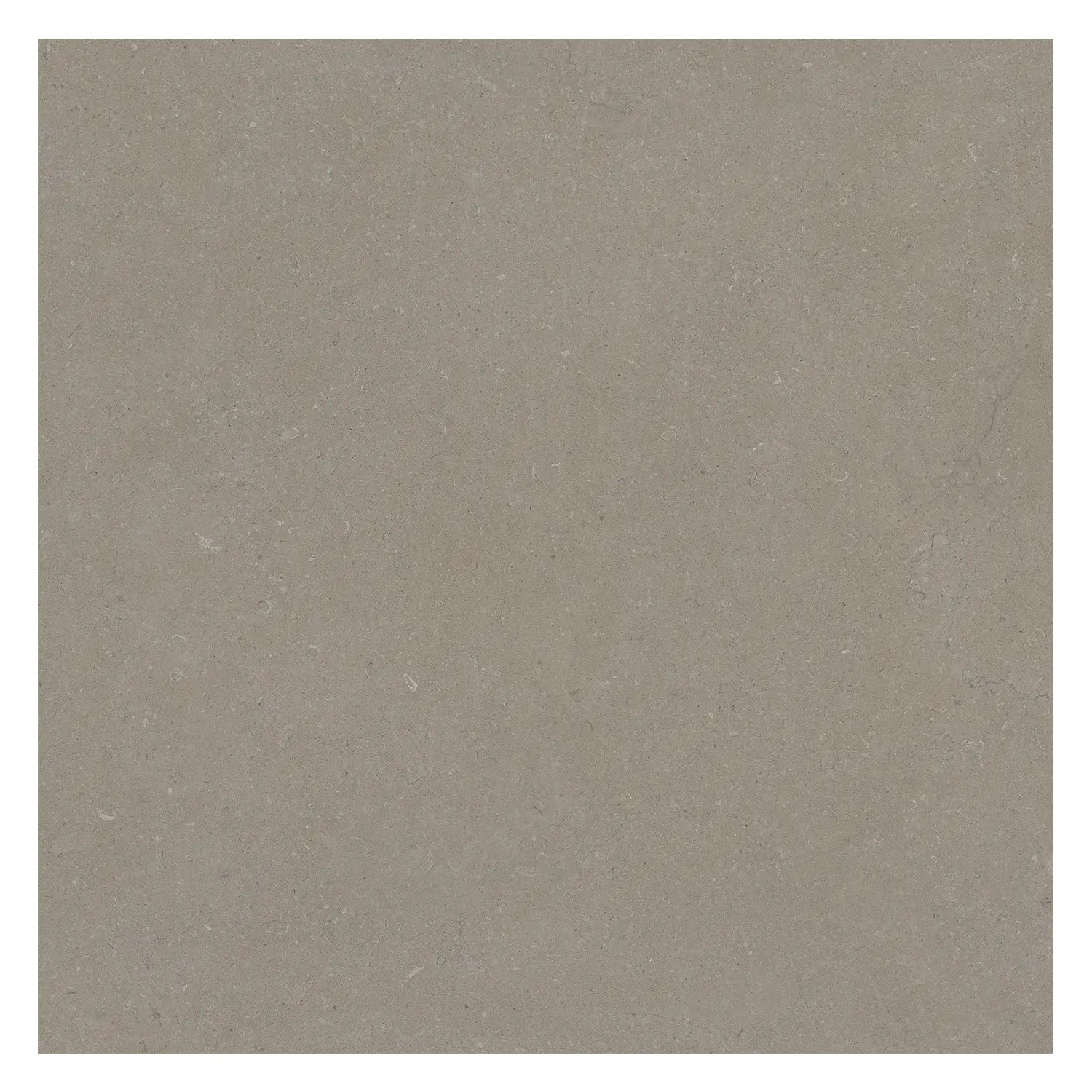 Steinoptik Bodenfliese Rift Greige 90 x 90 cm