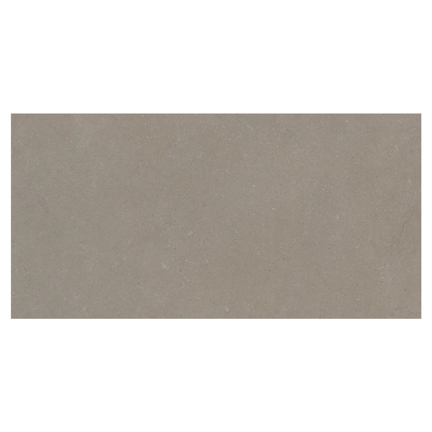 Steinoptik Bodenfliese Rift Greige 60 x 120 cm