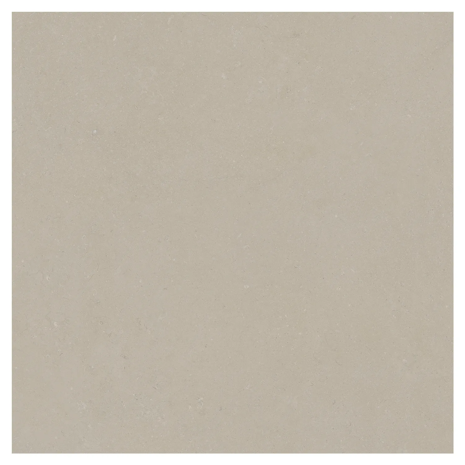 Steinoptik Bodenfliese Rift Bone 120 x 120 cm