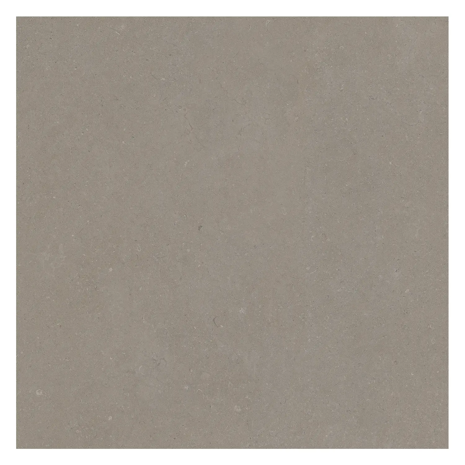 Steinoptik Bodenfliese Rift Greige 90 x 90 cm