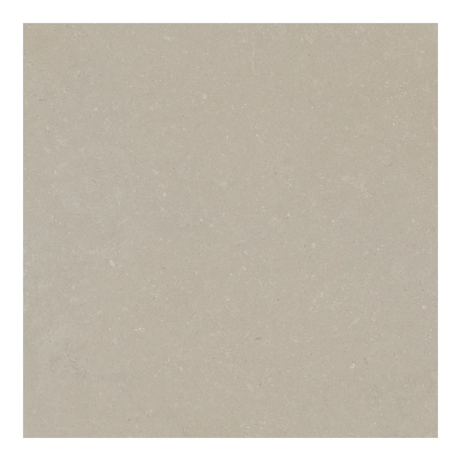 Steinoptik Bodenfliese Rift Bone 60 x 60 cm