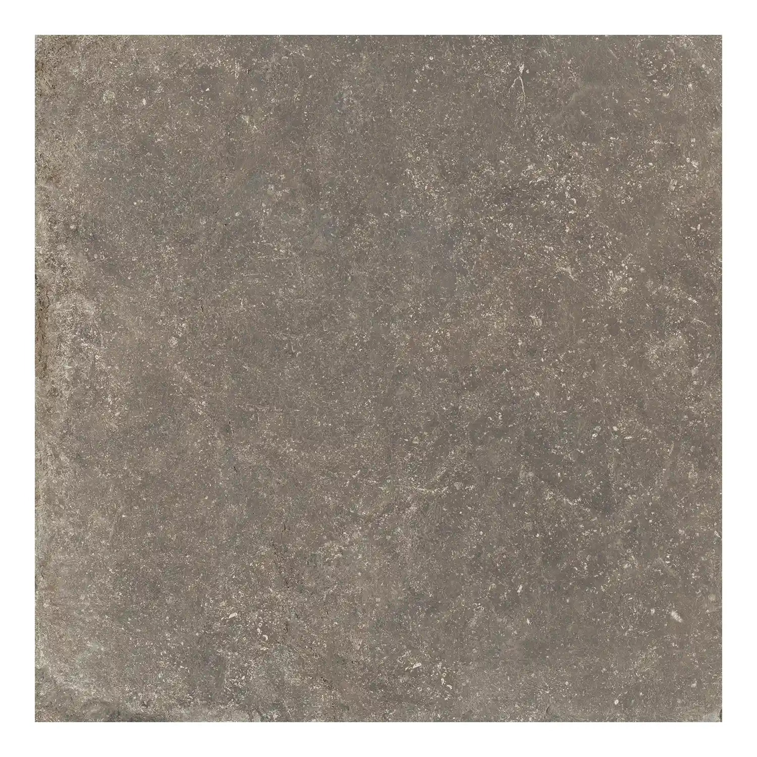 Rustikale Steinoptik Bodenfliese i-stone Taupe 60 x 60 cm