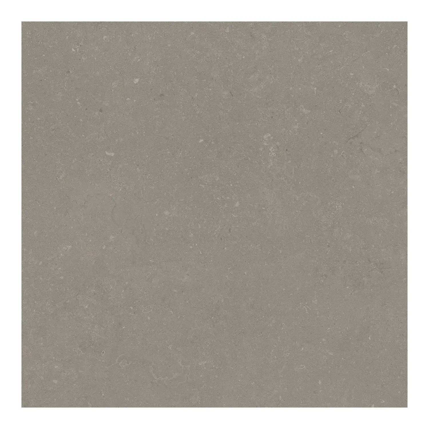 Steinoptik Bodenfliese Rift Greige 60 x 60 cm