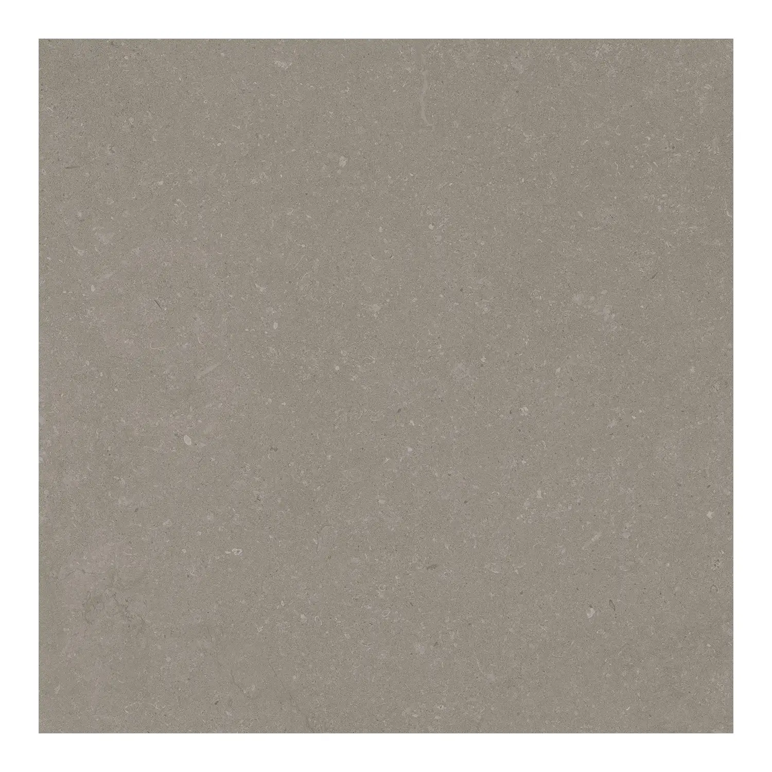 Steinoptik Bodenfliese Rift Greige 60 x 60 cm