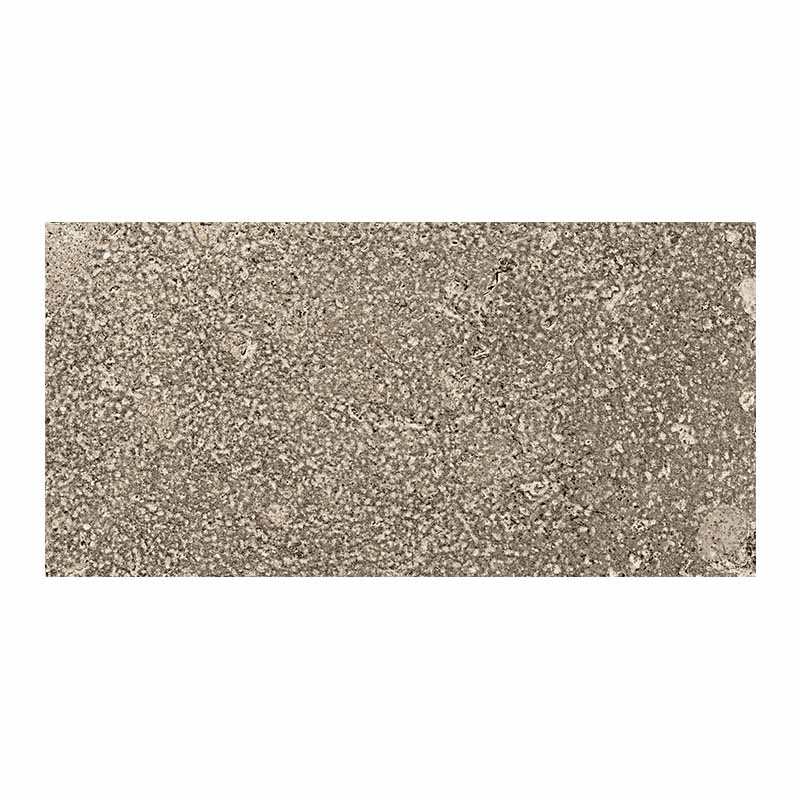 Cotto Bodenfliese Pomposa Mineral R11 20 x 40 cm