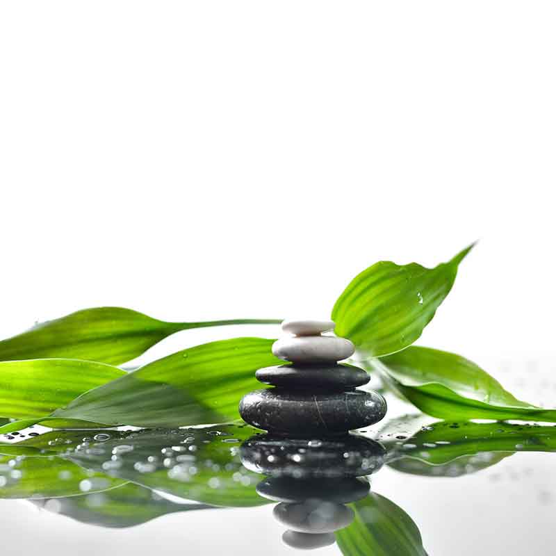 hsk-renodeco-zen-51