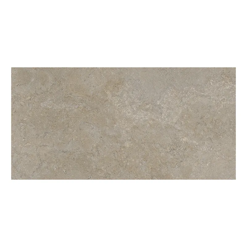 Steinoptik Fliese Cercom Stone Vision Mud R11 30 x 60 cm