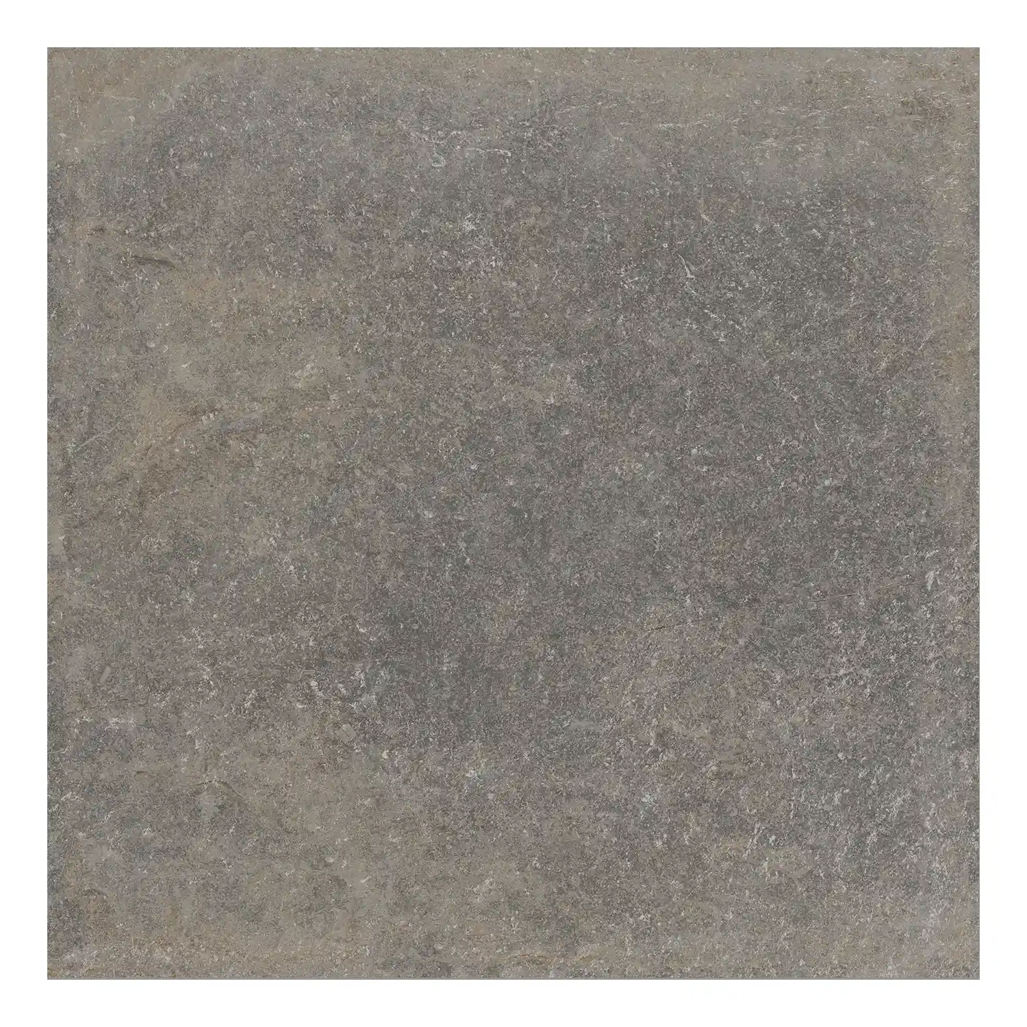 Rustikale Steinoptik Bodenfliese i-stone Grey 60 x 60 cm