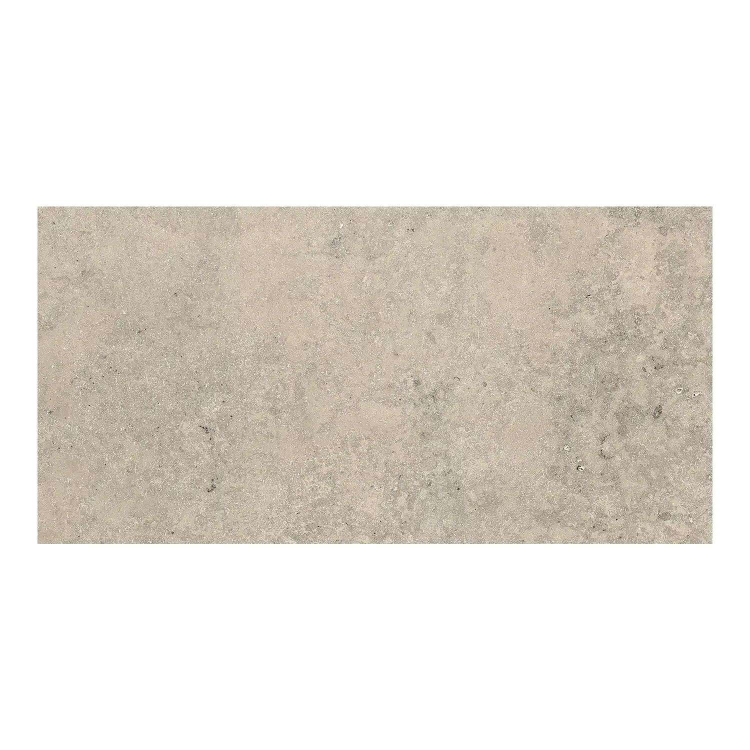 Steinoptik Fliese Jurassic Bavaria Grigio 30 x 60 cm Muster