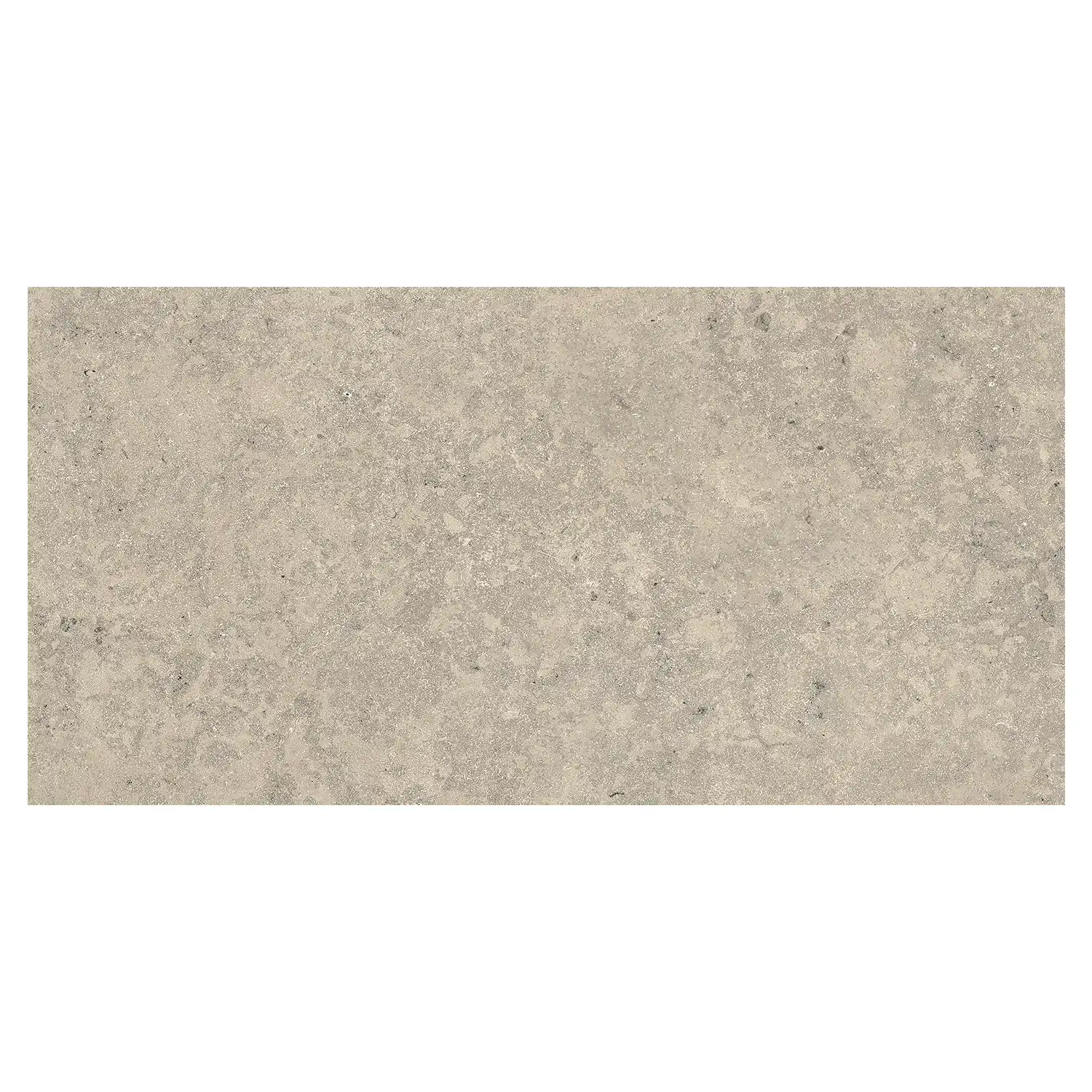 Terrassenplatte Jurassic Bavaria Grigio 3D 60 x 120 cm