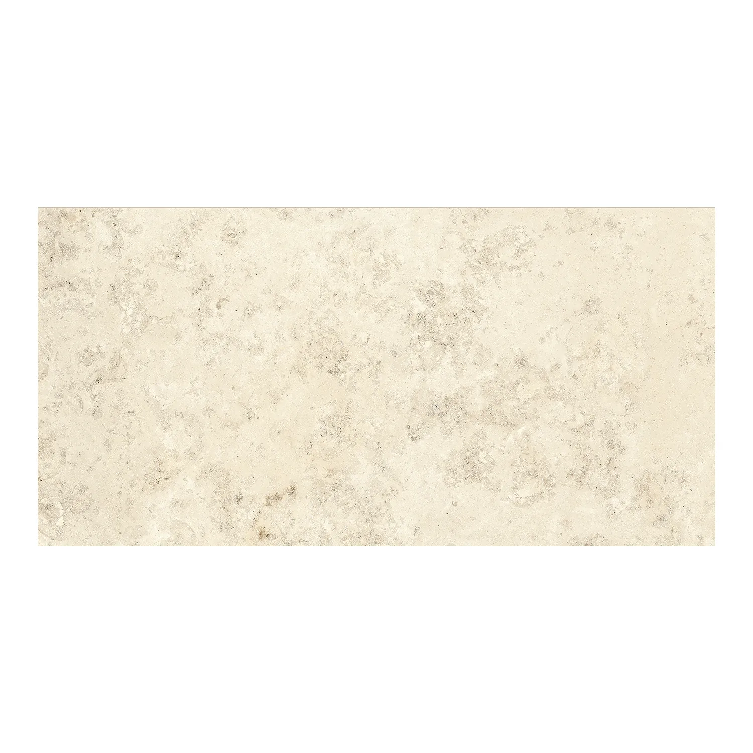 Steinoptik Fliese Jurassic Fossil Crema 30 x 60 cm Muster