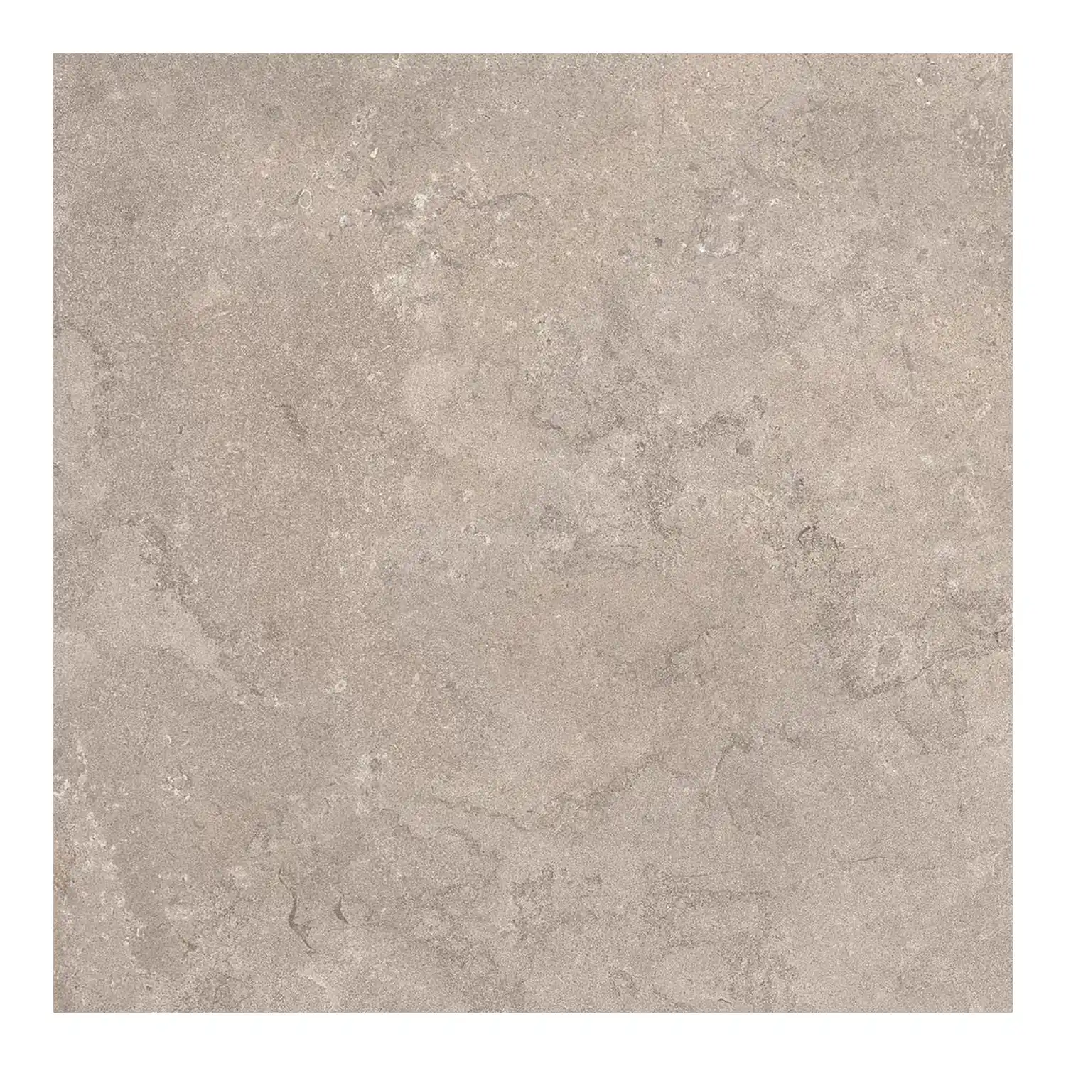Steinoptik Fliese Portland Rock Taupe 60 x 60 cm