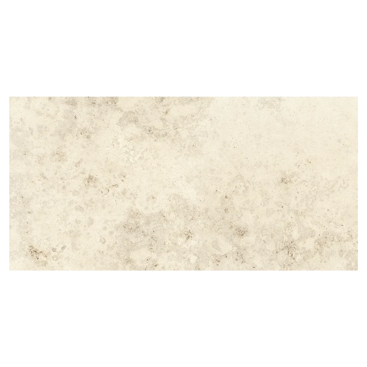 Steinoptik Fliese Jurassic Fossil Crema 3D 60 x 120 cm
