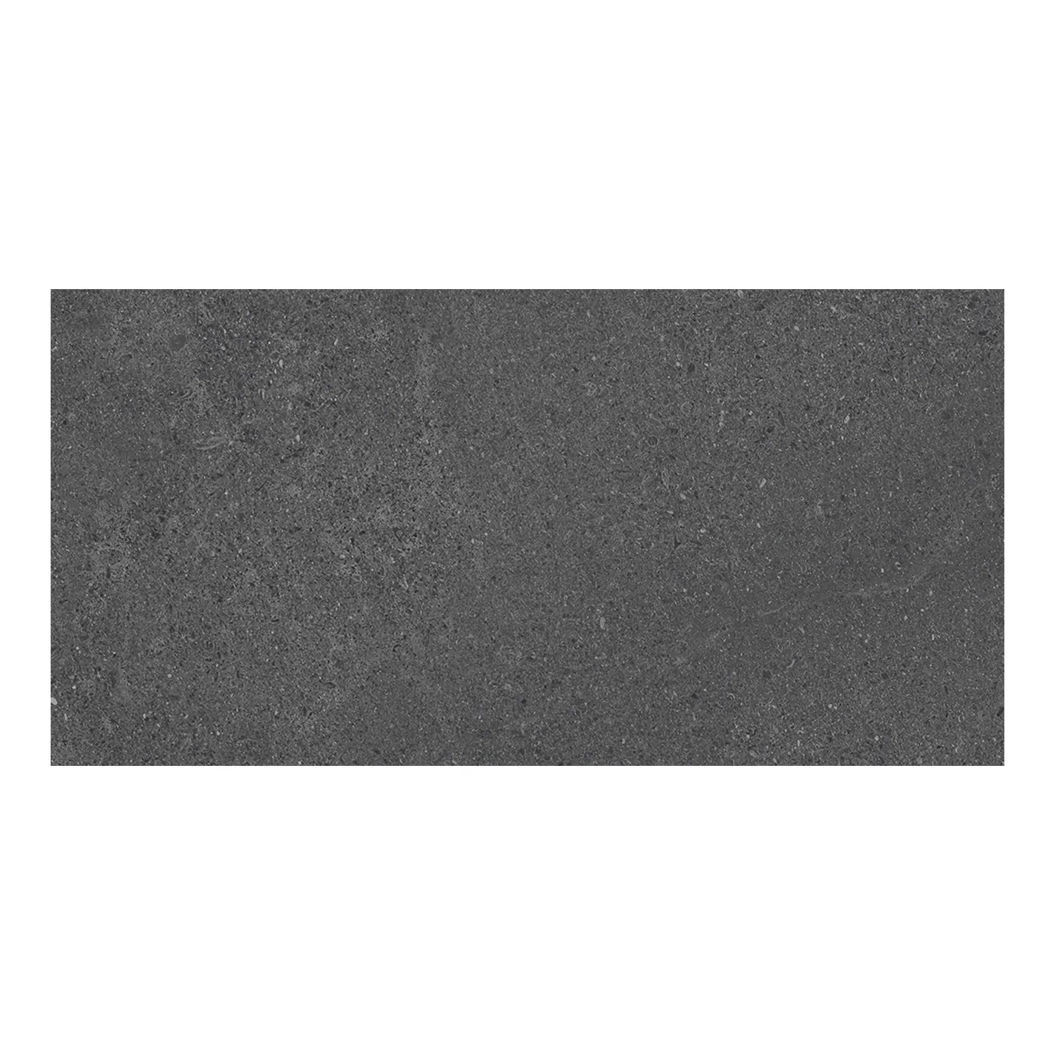 Steinoptik Fliese Natural Dark 30 x 60 cm Musterfliese
