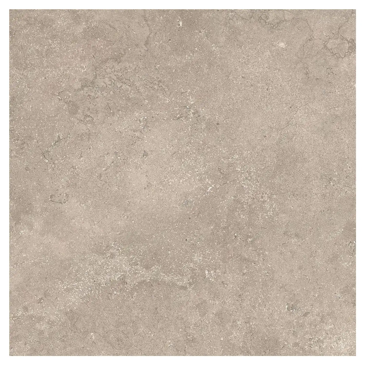 Steinoptik Fliese Portland Rock Taupe 100 x 100 cm