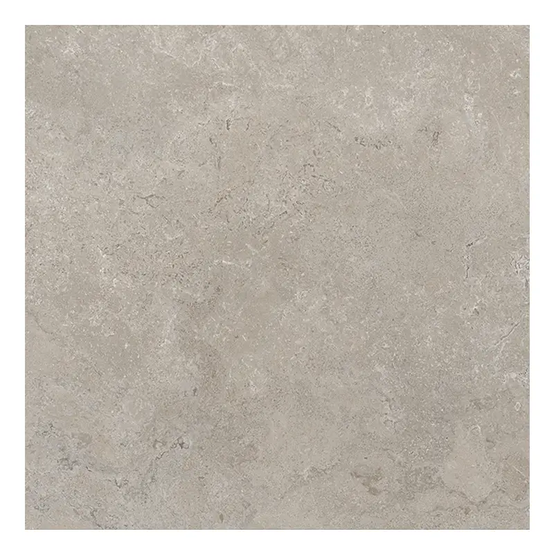 Steinoptik Fliese Cercom Stone Vision Ash 60 x 60 cm