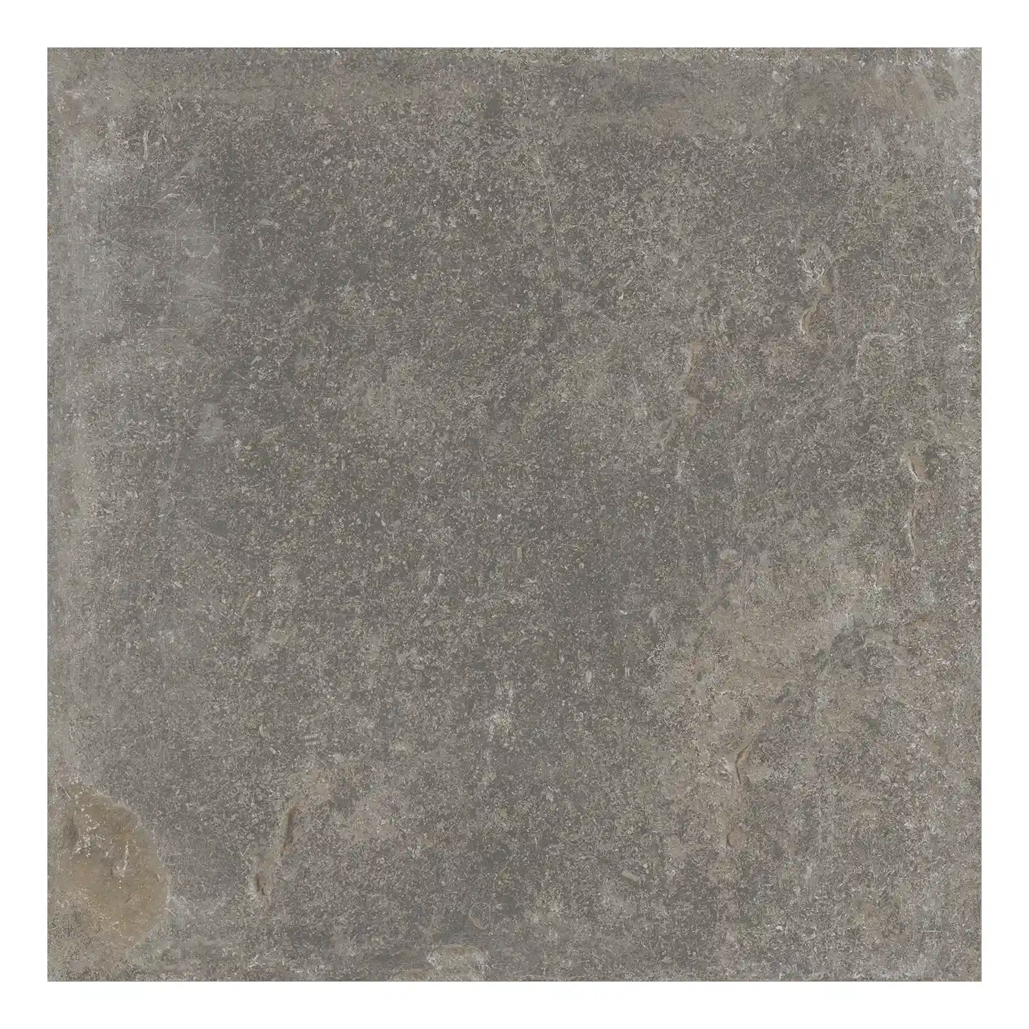 Rustikale Steinoptik Bodenfliese i-stone Grey 60 x 60 cm
