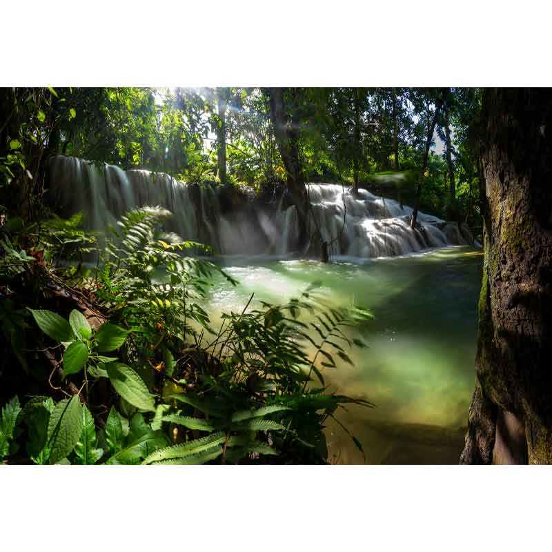 HSK RenoDeco Fotodruck Duschrückwand Farn am Wasserfall 49