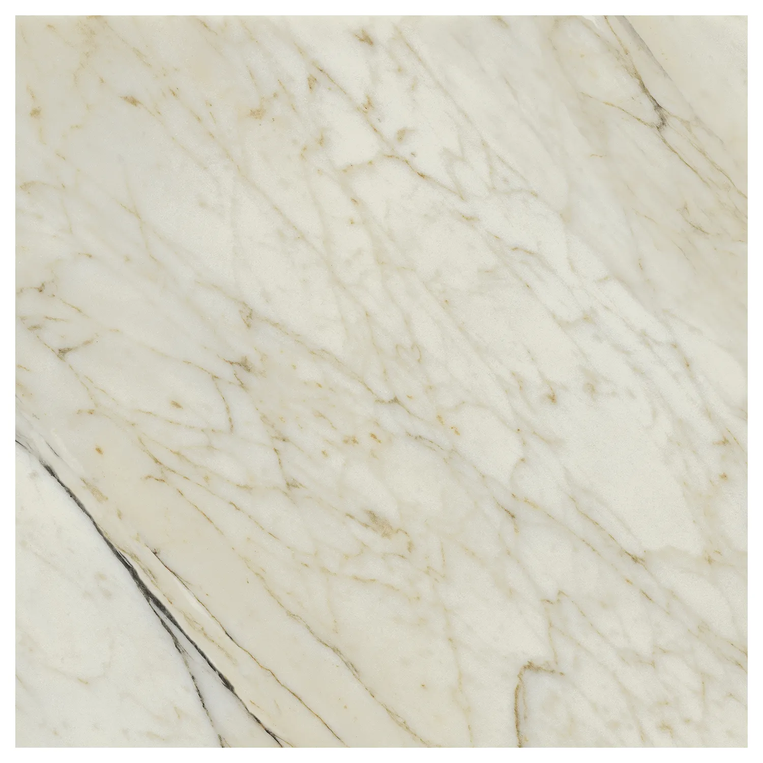 Marmoroptik Fliese Calacatta Dorato Silk 120 x 120 cm