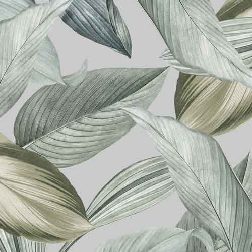 Tropenblaetter Salbei 66