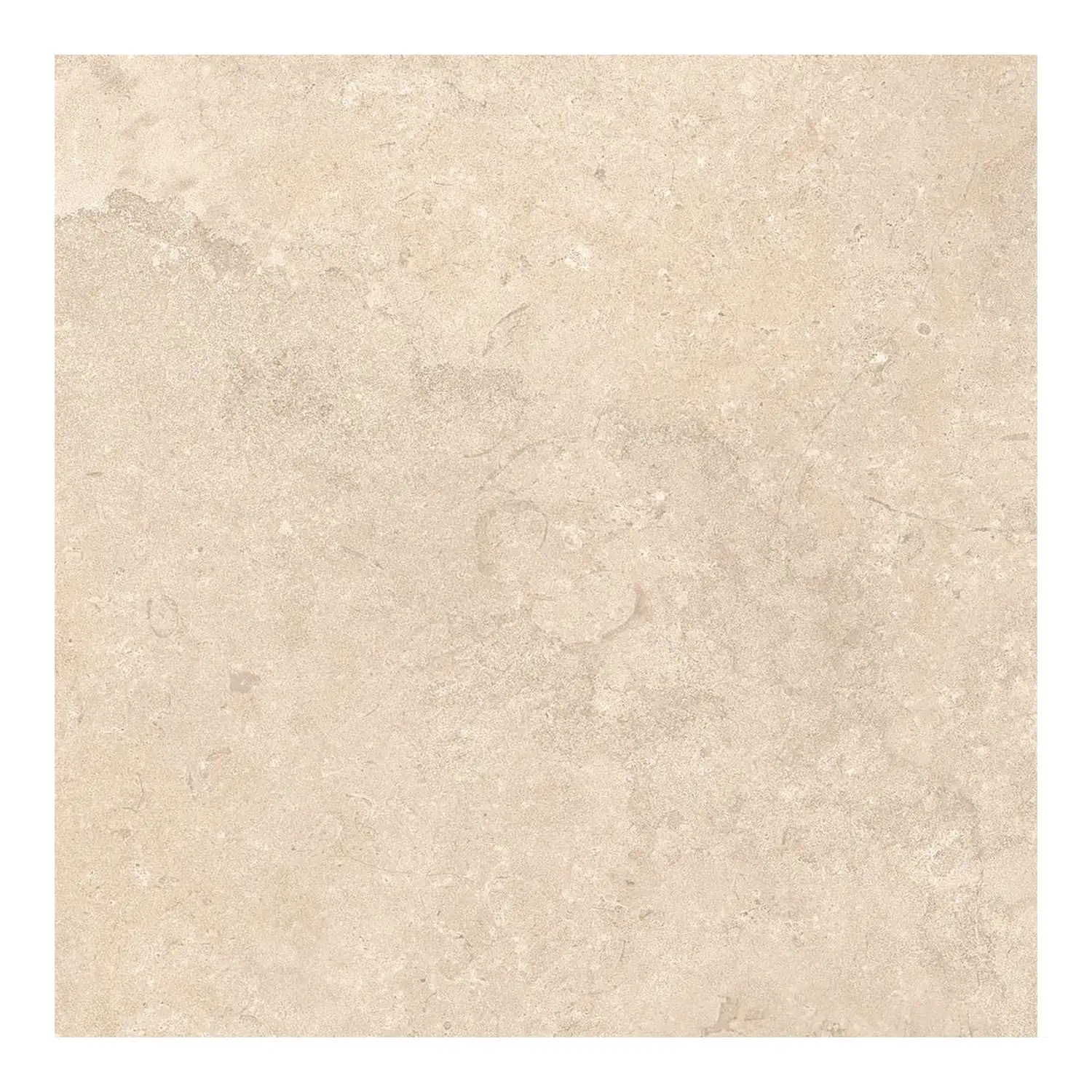 Steinoptik Fliese Portland Rock Beige 60 x 60 cm