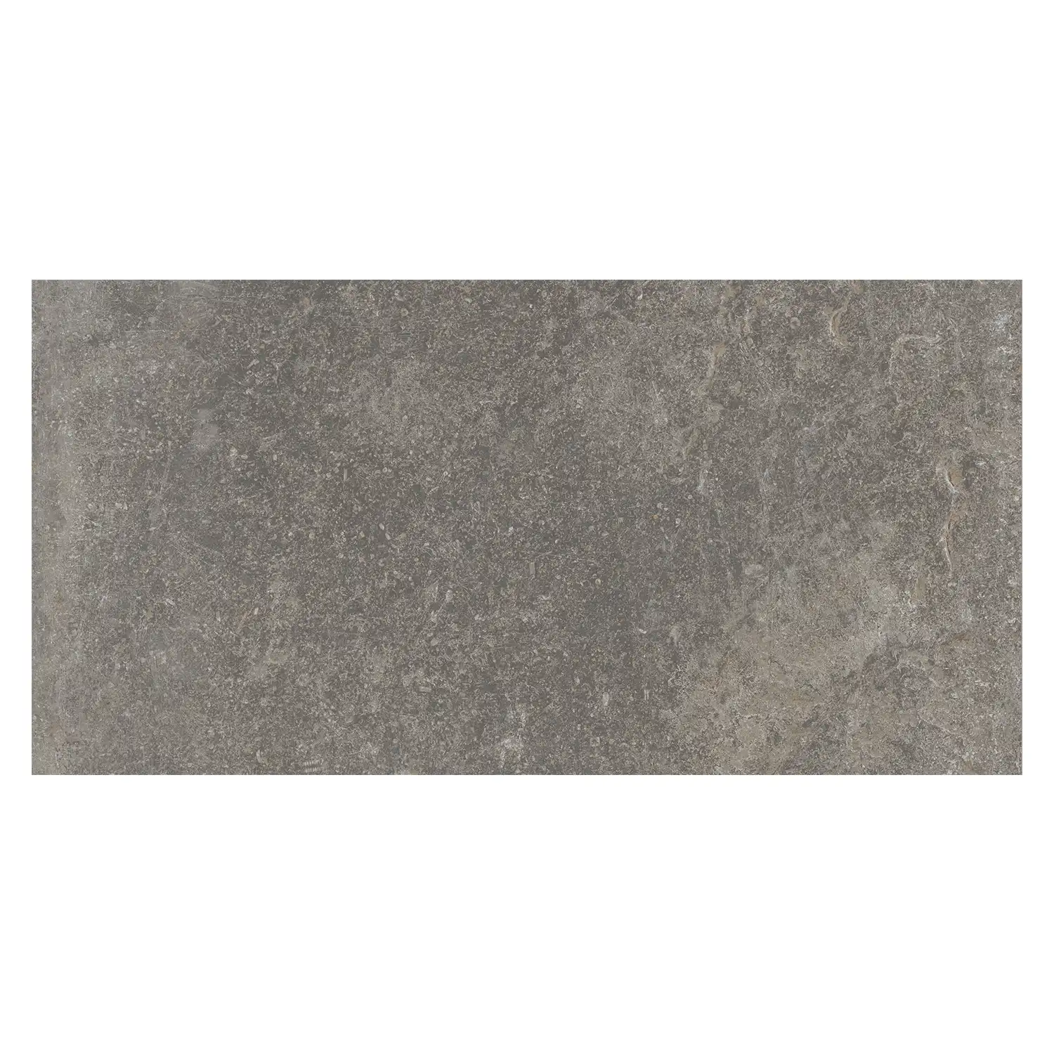 Rustikale Steinoptik Bodenfliese i-stone Grey 40 x 80 cm