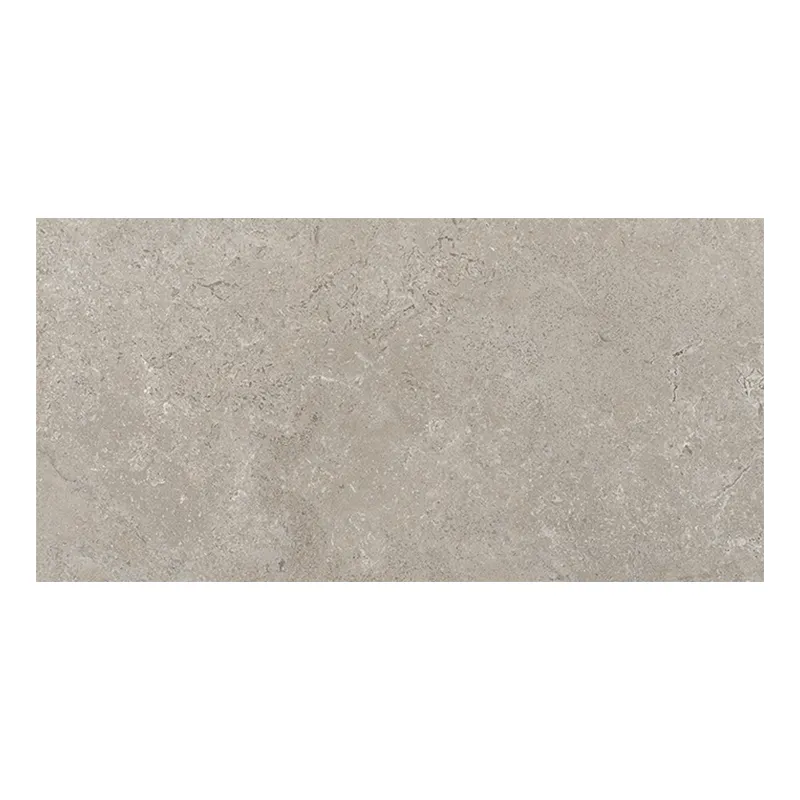 Steinoptik Fliese Cercom Stone Vision Ash 30 x 60 cm