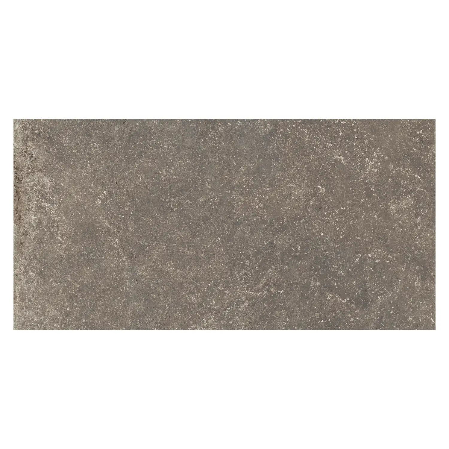 Rustikale Steinoptik Bodenfliese i-stone Taupe R11 40 x 80cm