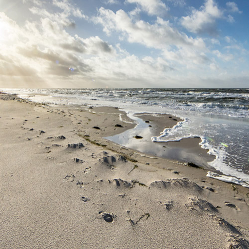 Strand mit Treibholz 56