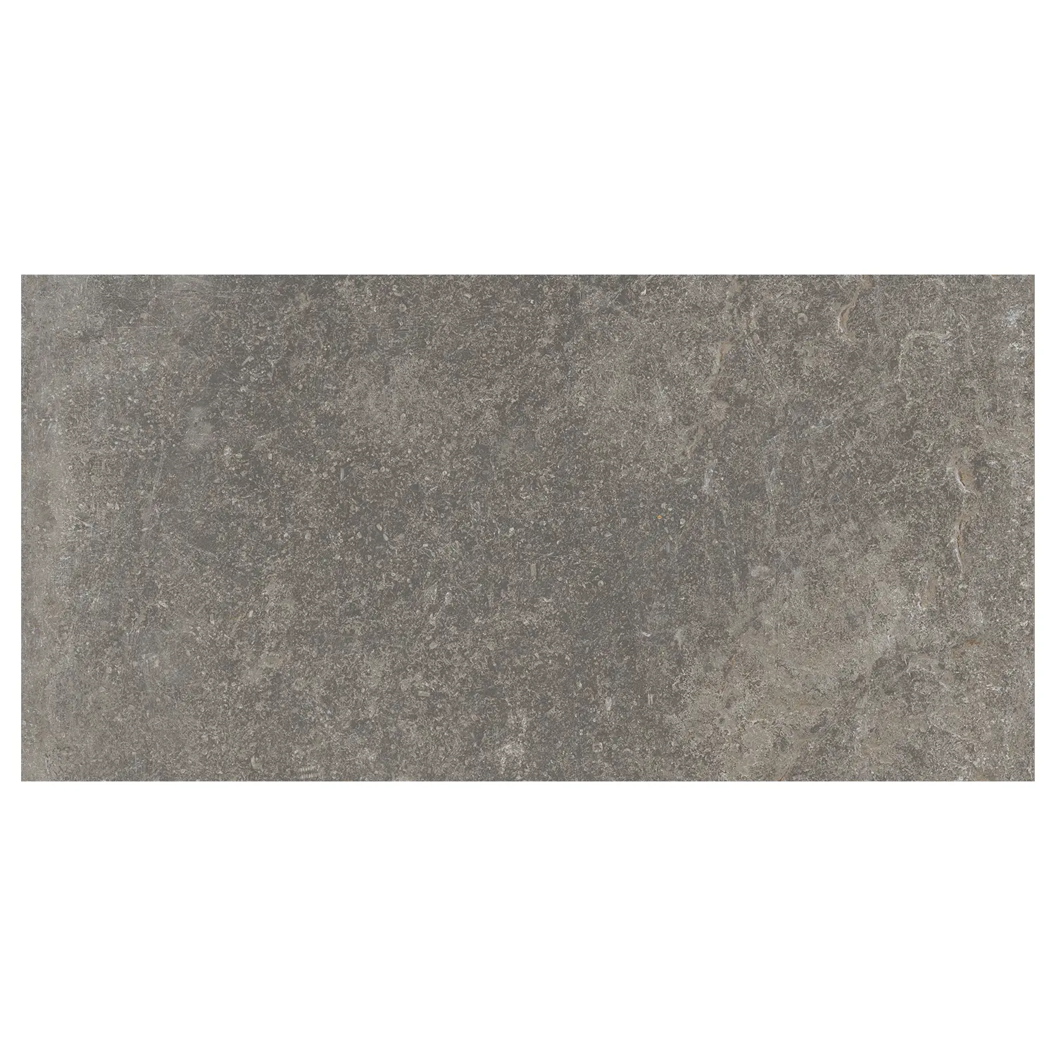 Rustikale Steinoptik Bodenfliese i-stone Grey 60 x 120 cm