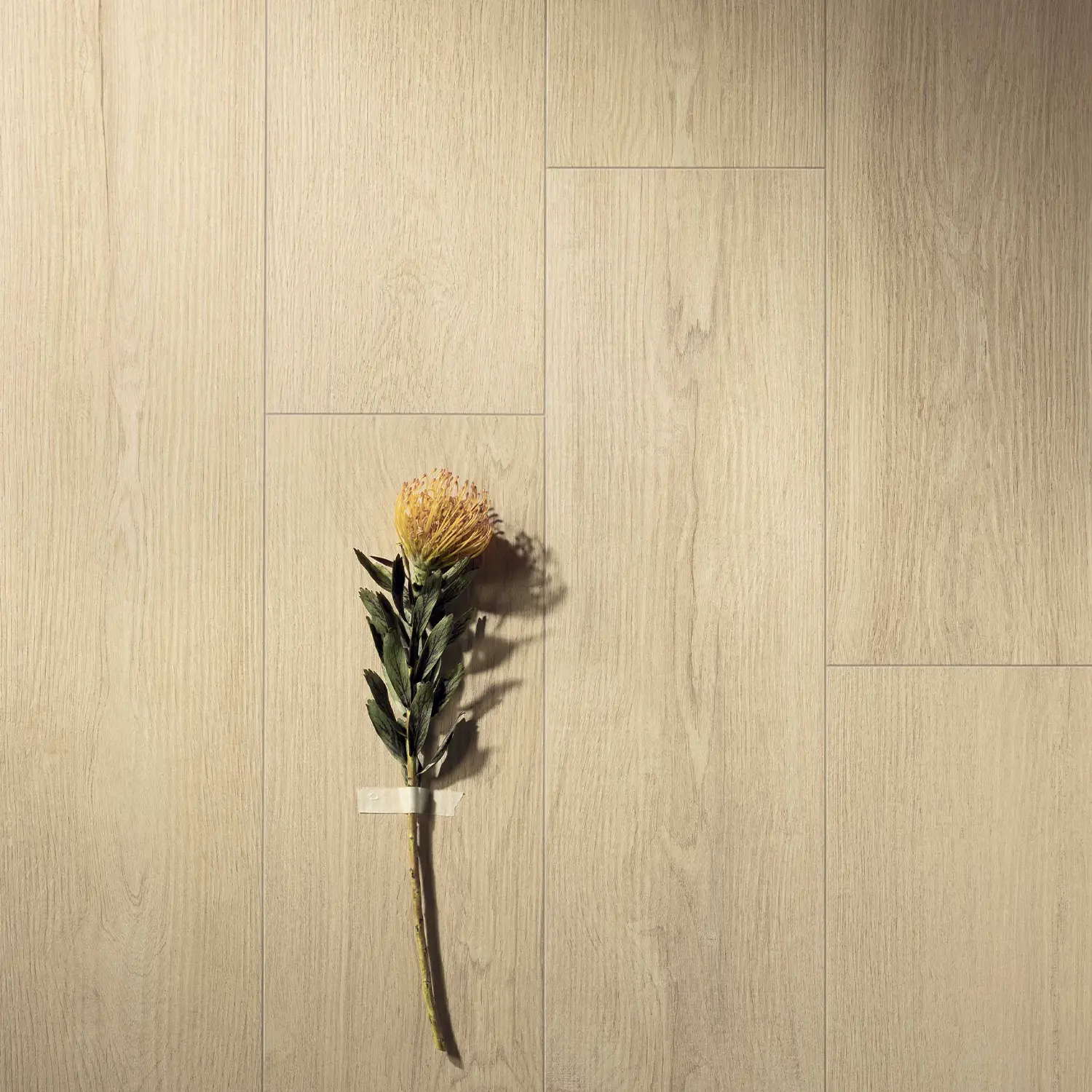 Holzoptik Fliese Cercom Bark Elm 20 x 120 cm