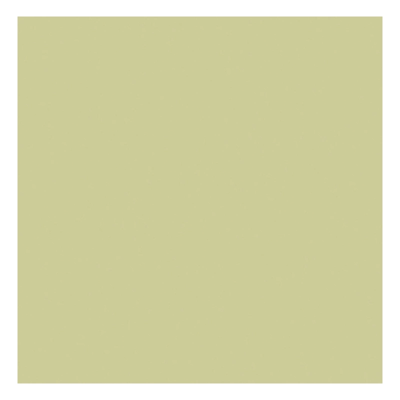 Revigres Cromatica Pistachio 59,2 x 59,2 cm Soft Bodenfliese