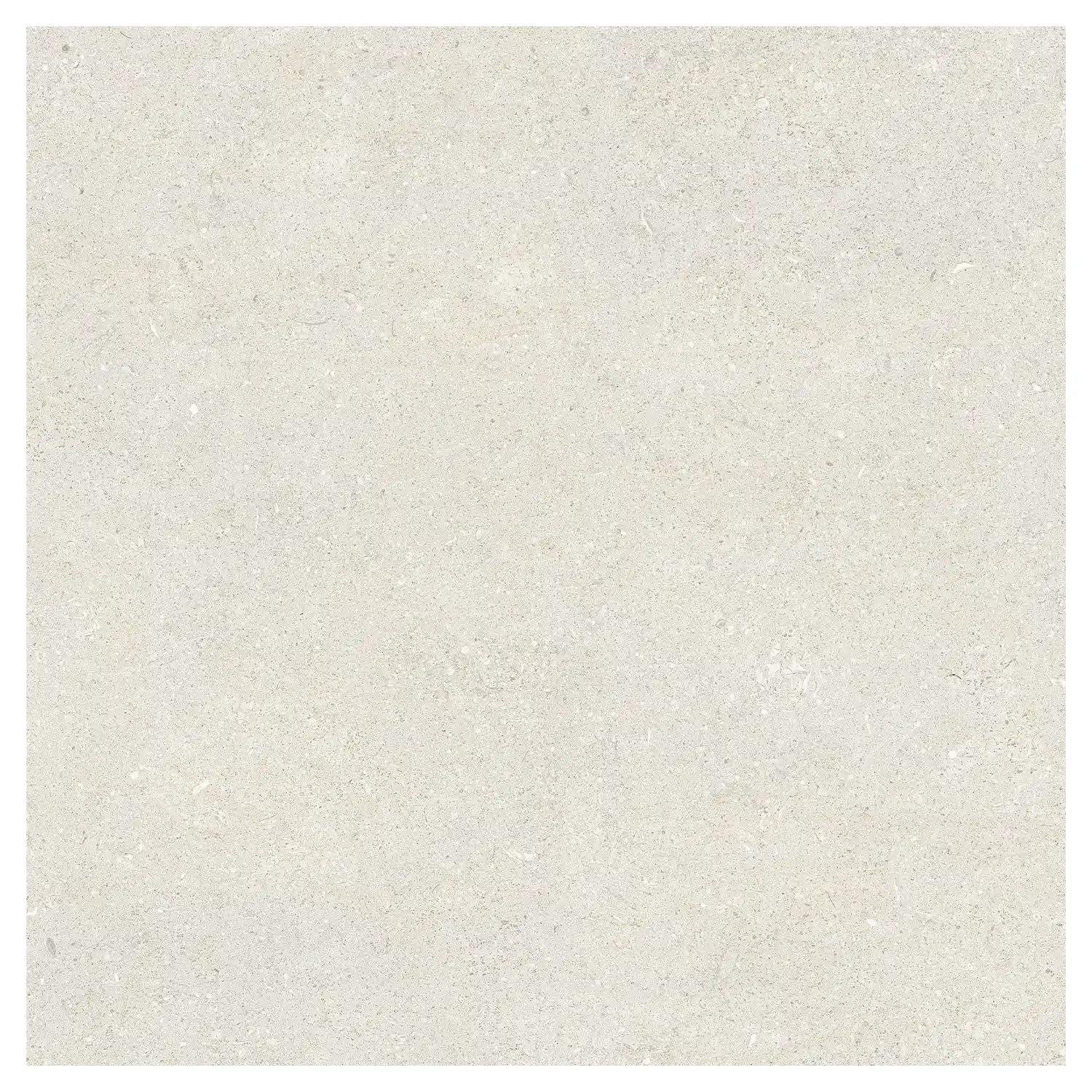 Steinoptik Fliese Sedimenti White Selected 120 x 120 cm