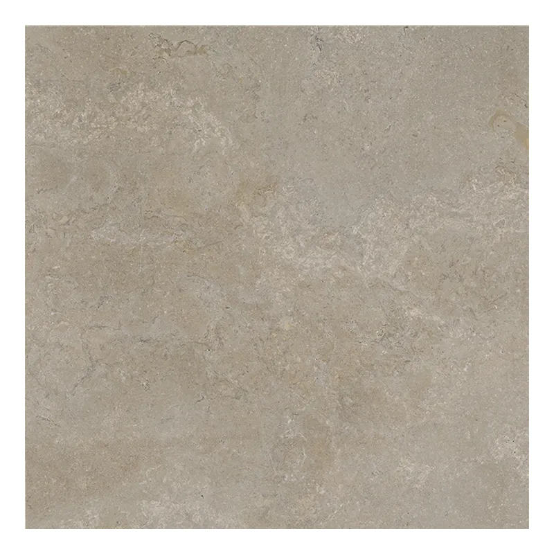 Steinoptik Fliese Cercom Stone Vision Mud R11 60 x 60 cm