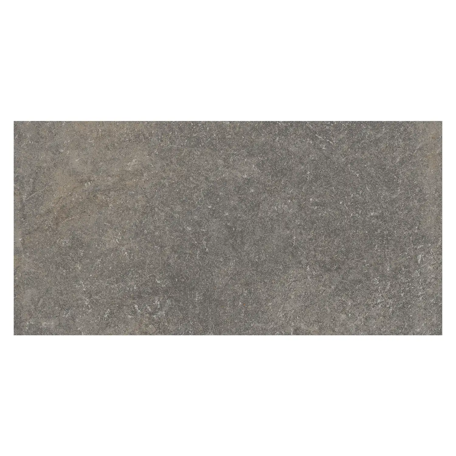 Rustikale Steinoptik Bodenfliese i-stone Grey 40 x 80 cm