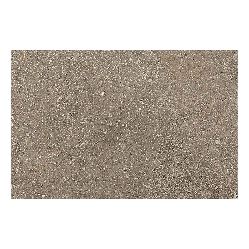 Cotto Bodenfliese Pomposa Mineral R11 40 x 60,8 cm