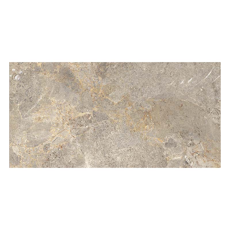 Steinoptik Fliese Everstone Everbrown R11 30 x 60 cm