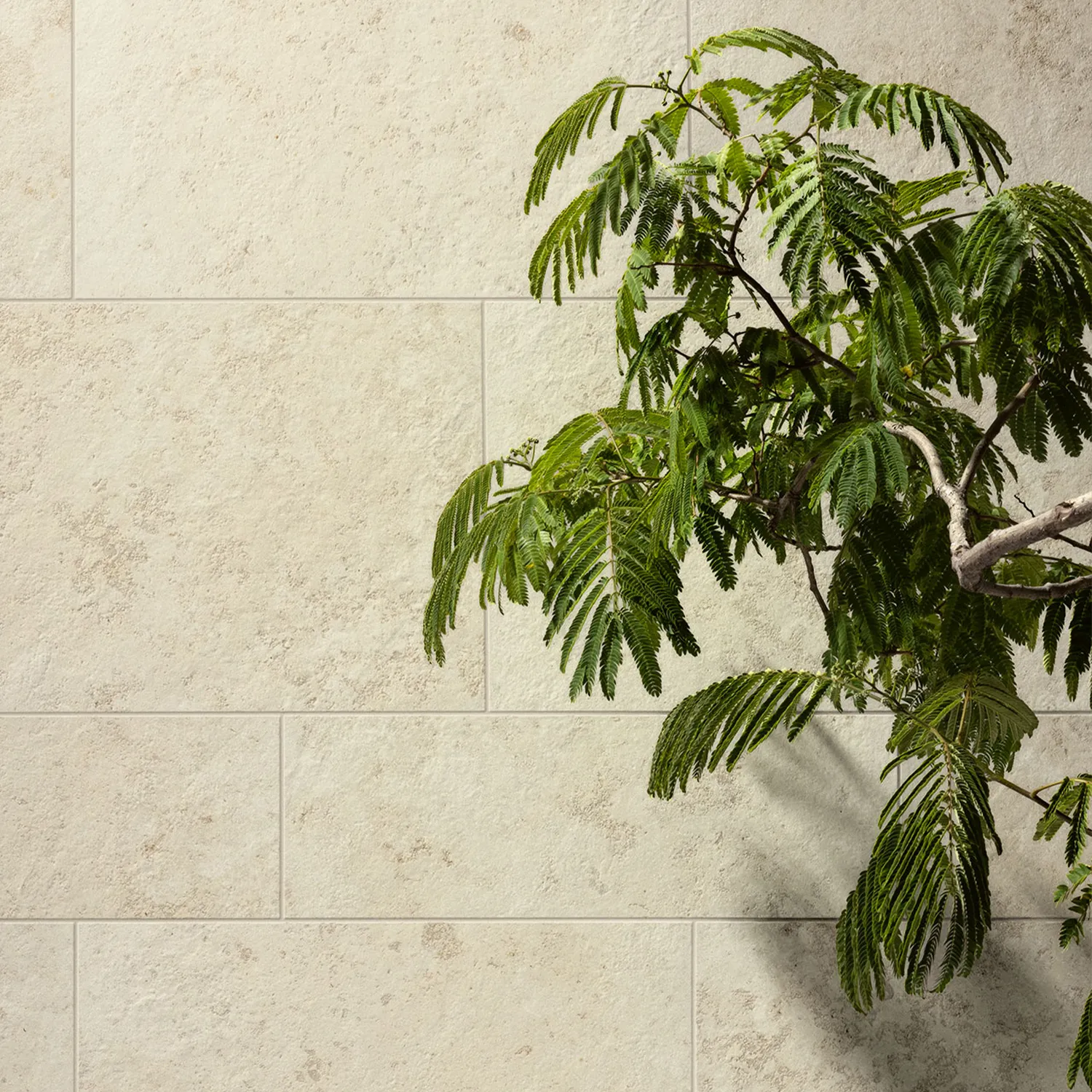 Fliesen Jurassic Fossil Crema 3D Runner Package
