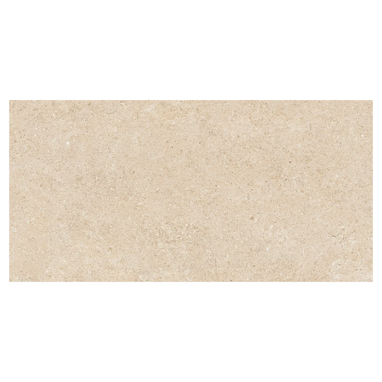 Steinoptik Fliese Sedimenti Beige Selected 60 x 120 cm