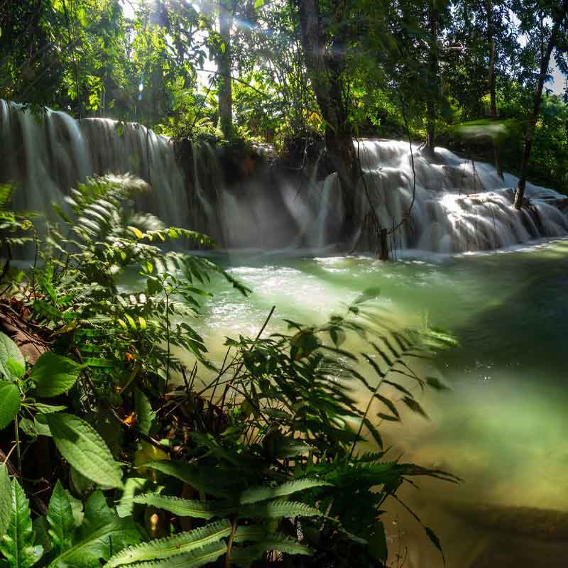 HSK RenoDeco Fotodruck Designplatte Seidenmatt 100 x 255 cm