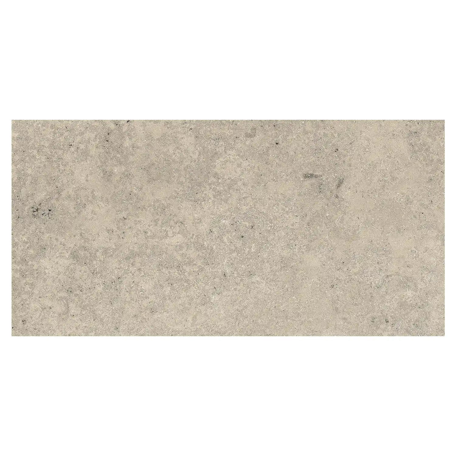 Terrassenplatte Jurassic Bavaria Grigio 3D 60 x 120 cm