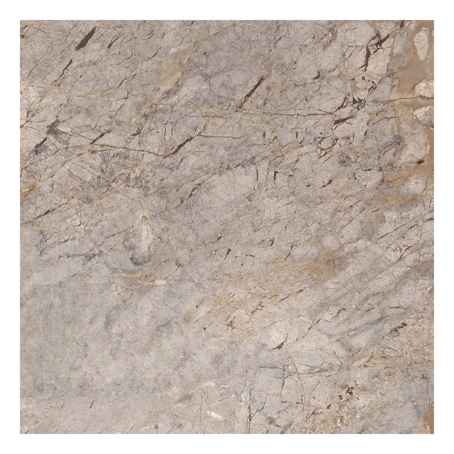 Marmor Optik Fliese Silver Roots 59,2 x 59,2 cm Poliert